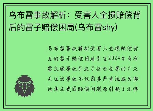 乌布雷事故解析：受害人全损赔偿背后的雷子赔偿困局(乌布雷shy)