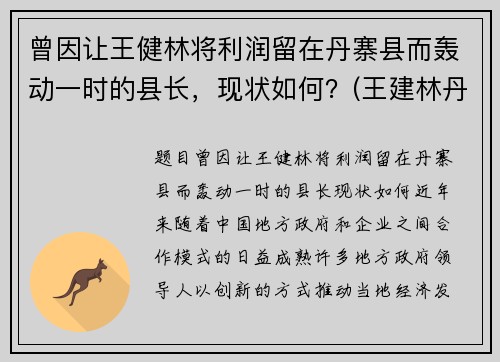 曾因让王健林将利润留在丹寨县而轰动一时的县长，现状如何？(王建林丹寨县长视频)